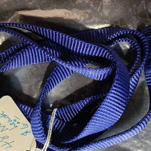 Vibrant Blue Striped Belt